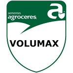 Semente Sorgo Volumax